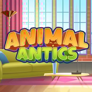 Animal Antics