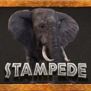 Stampede